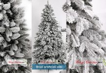 Cum au devenit brazii albi un element de design în amenajările moderne de Crăciun